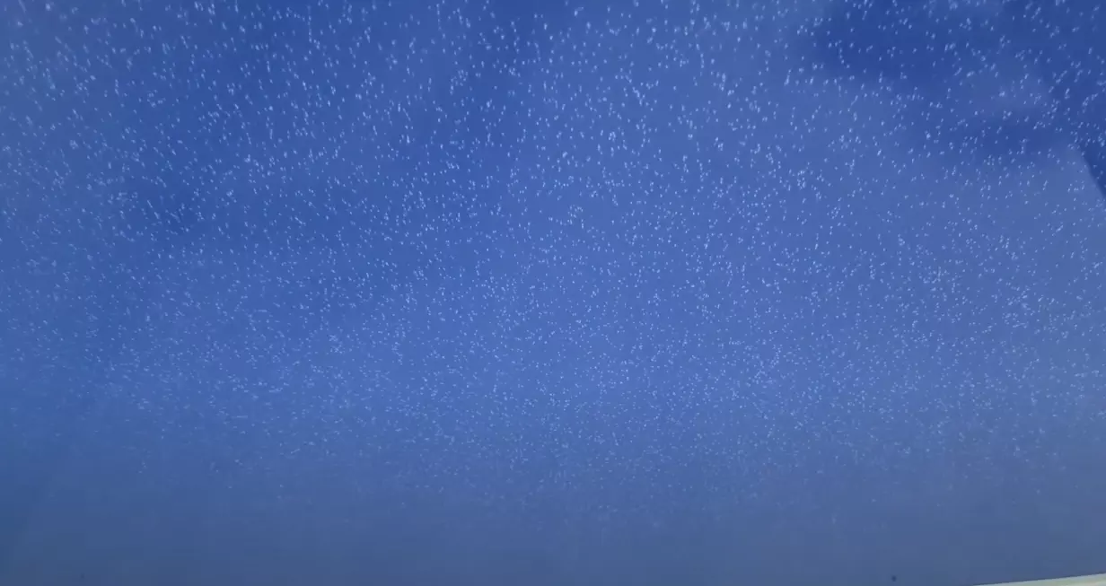 Москва, Симферопольский бульвар, 12/14 к1, фото 3