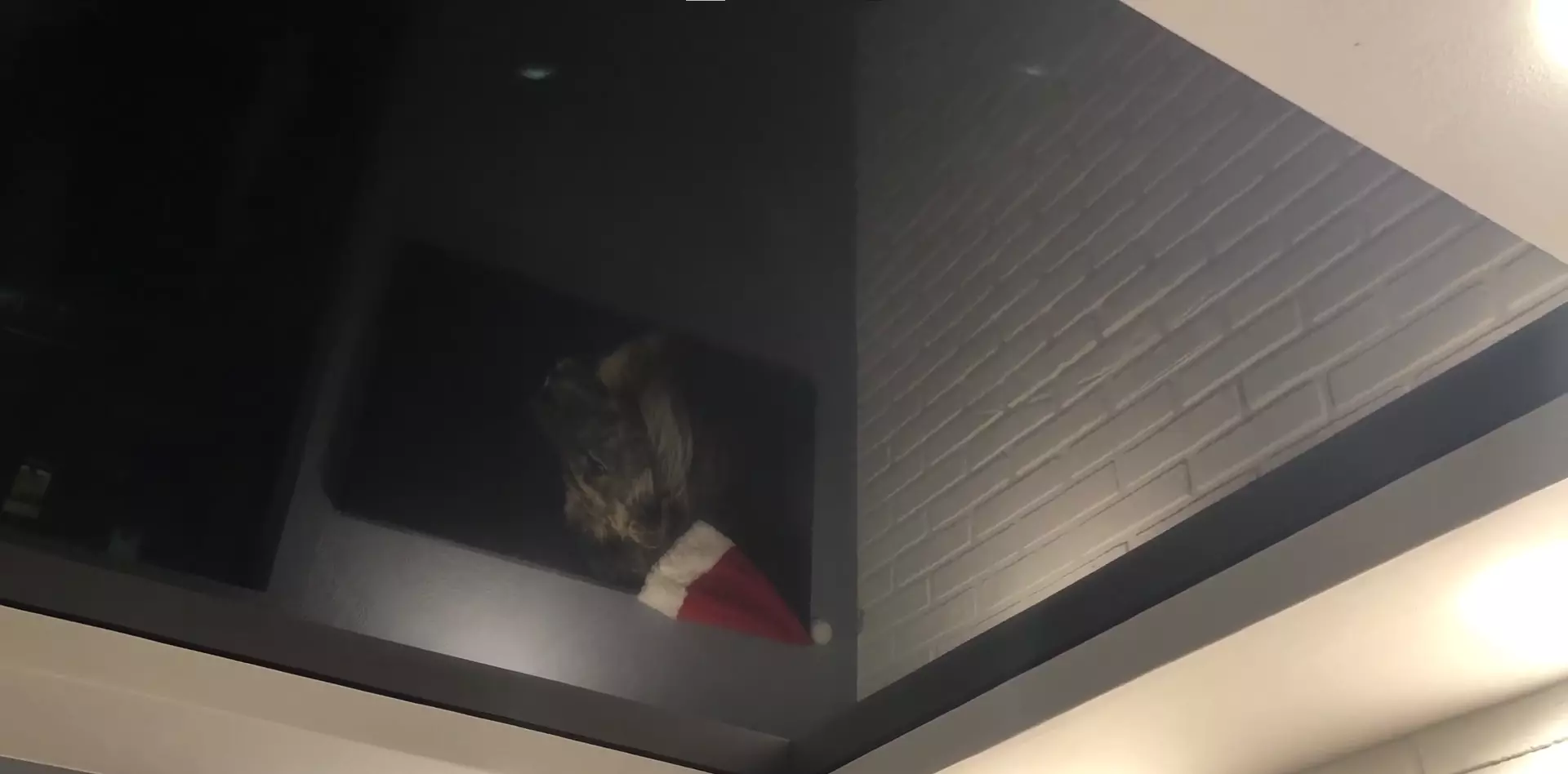 Владимир, Горького, 117, фото 3